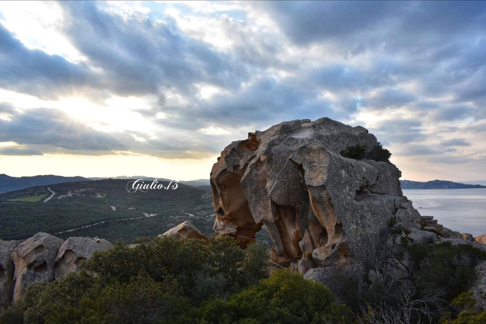Oasy Sul Mare Olbia