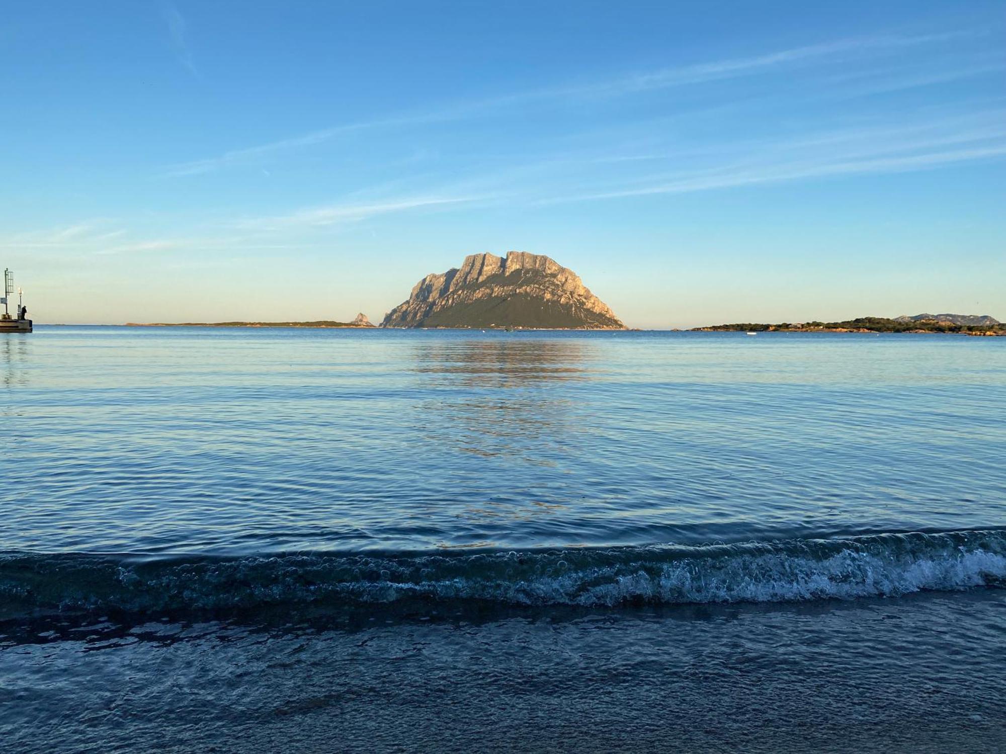 Oasy Sul Mare *