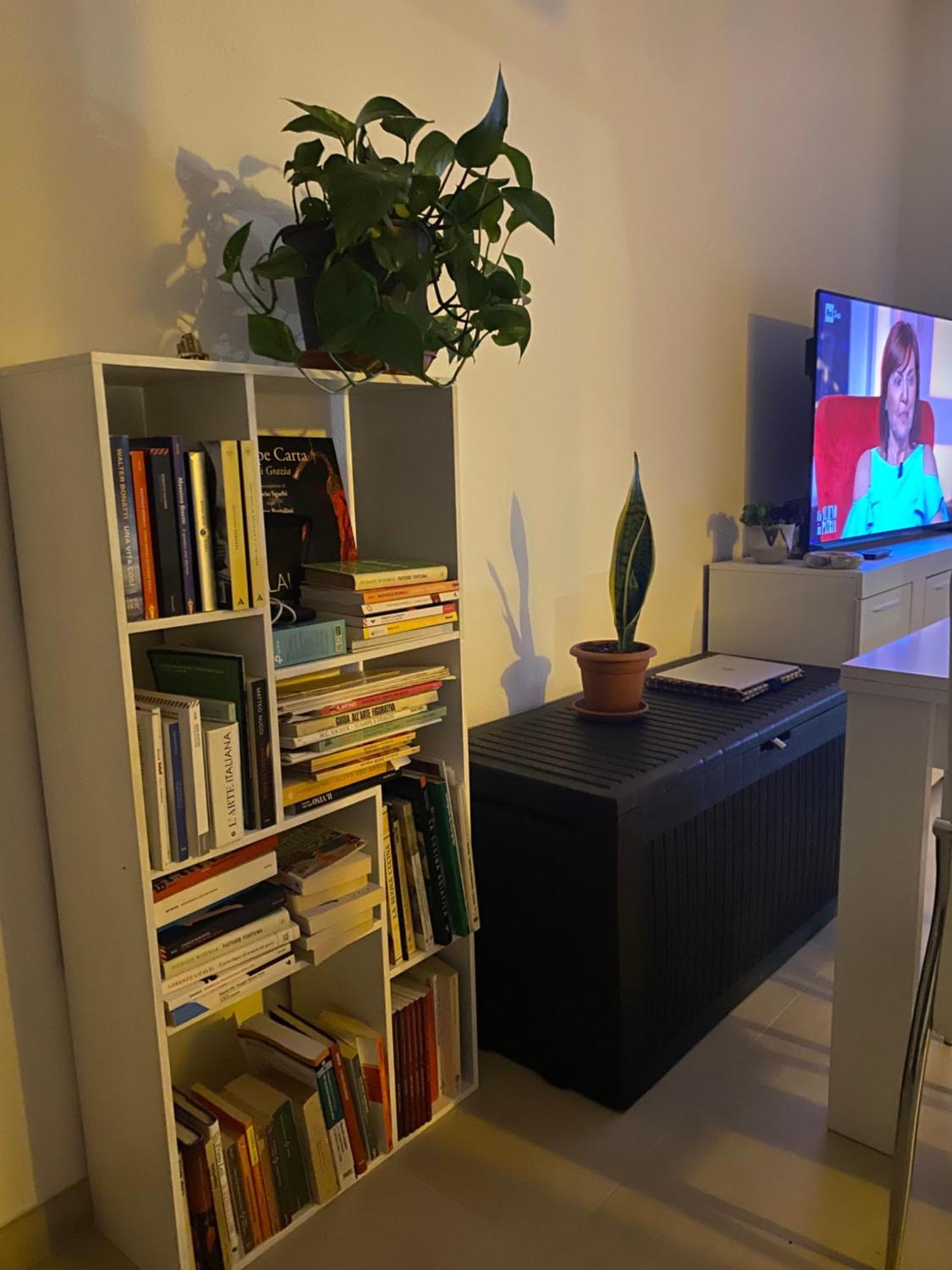 Oasy Sul Mare Apartment